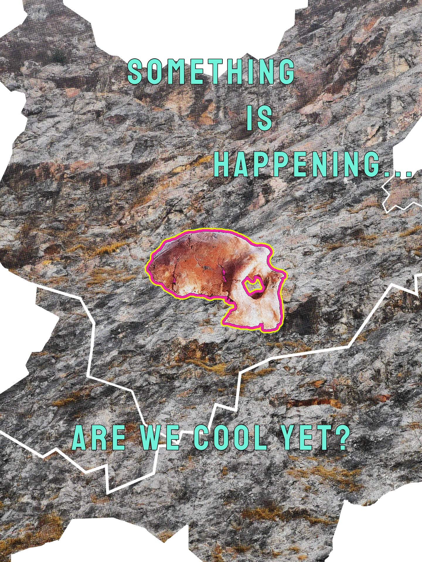 裸露的伤口和被遗弃的